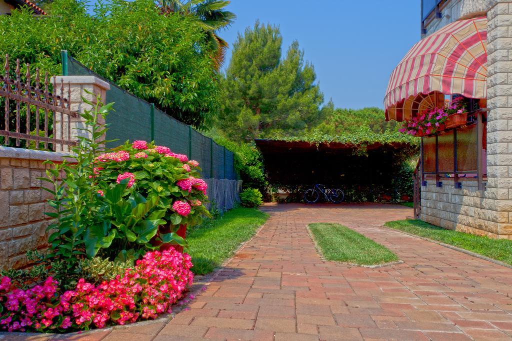 Apartments Daniela Novigrad  ภายนอก รูปภาพ