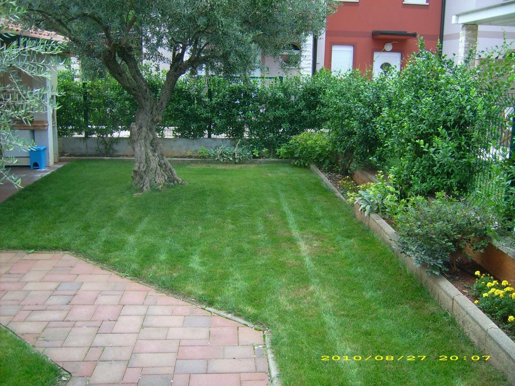 Apartments Daniela Novigrad  ภายนอก รูปภาพ