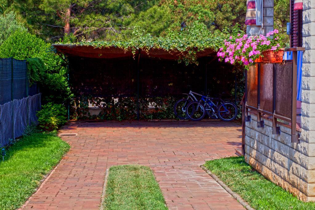Apartments Daniela Novigrad  ภายนอก รูปภาพ